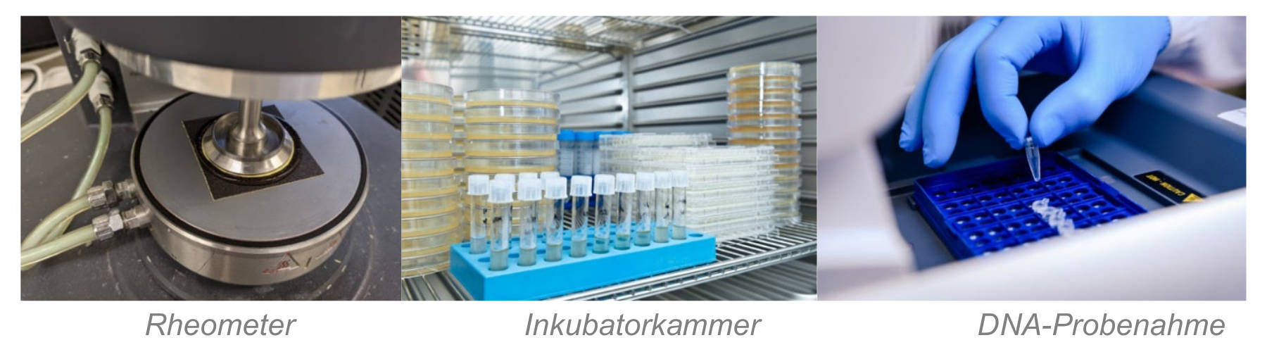laboratory applications requiring temperature control
