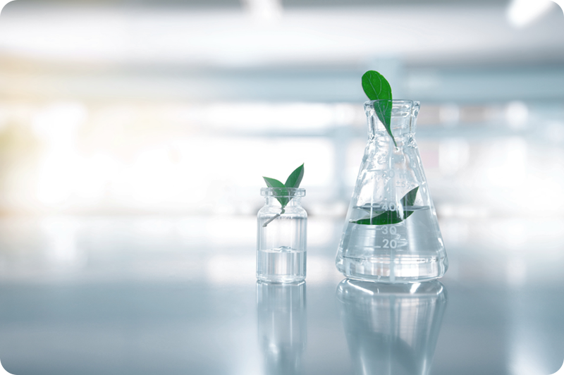 green laboratory
